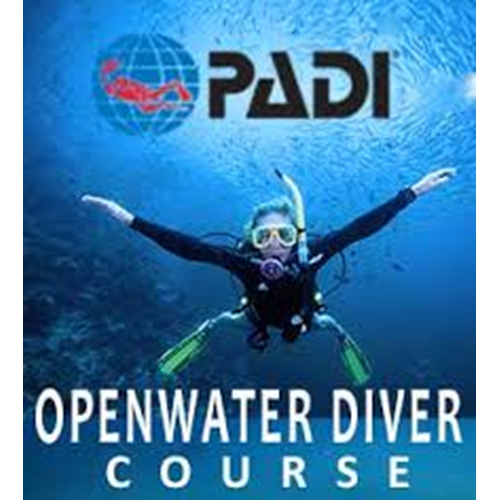 Open Water Check Out Dives - Phase 3
